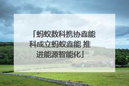 蚂蚁数科携协鑫能科成立蚂蚁鑫能 推进能源智能化